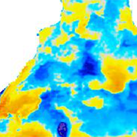 OSTIA SST Anomaly